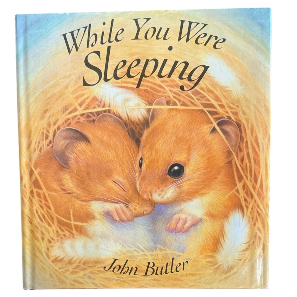 📚”WHILE YOU WERE SLEEPING” HARDCOVER CHILDREN’S STORYBOOK  JOHN BUTLER KIDS NEW